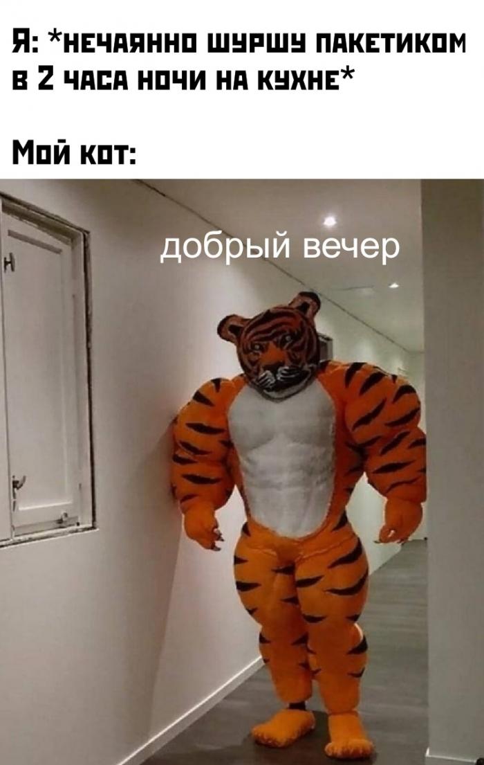Подборка прикольных фото (64 фото)