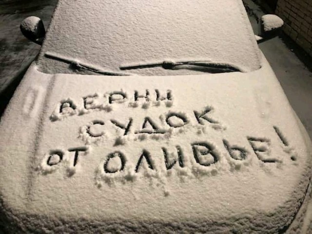 Подборка прикольных фото (66 фото)