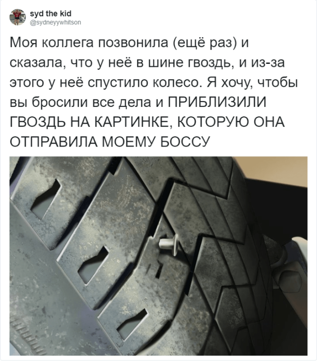 Девушка решила схитрить и не пойти на работу, была обречена (14 фото)