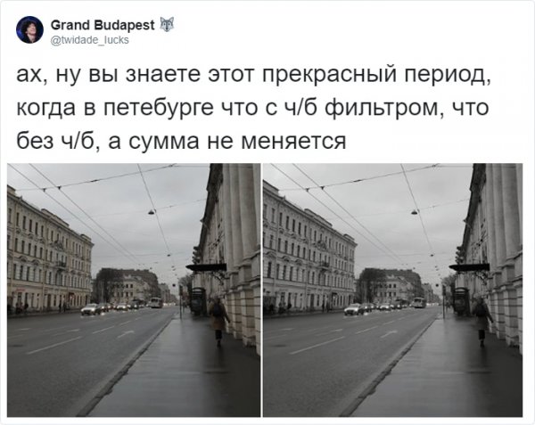 Пятьдесят оттеков серого: в Твиттере не могут найти разницу (16 фото)