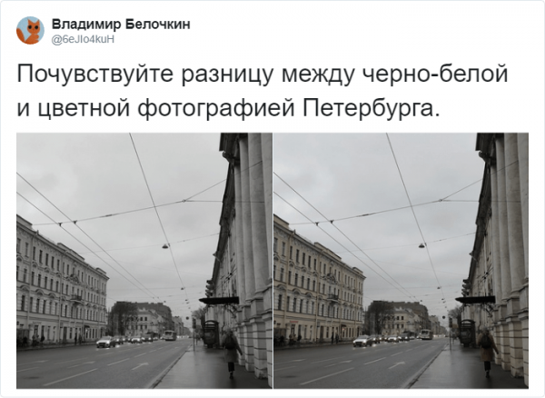 Пятьдесят оттеков серого: в Твиттере не могут найти разницу (16 фото)