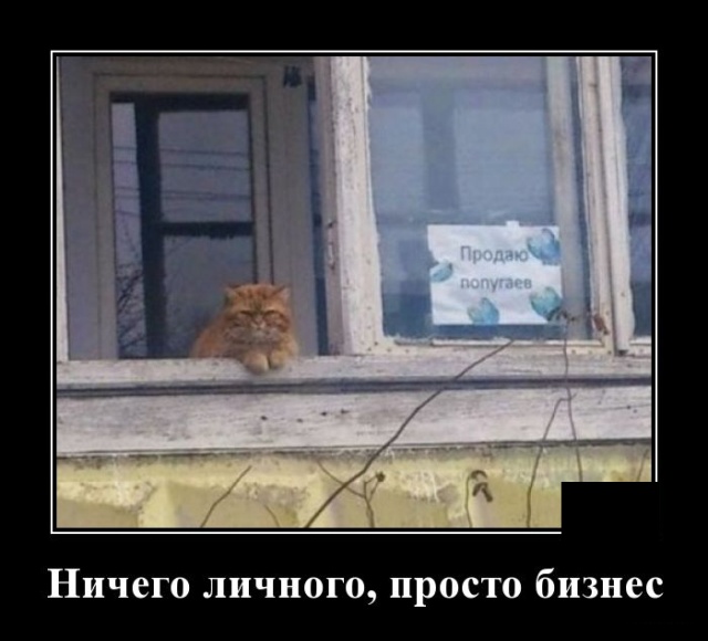 Демотиваторы №2289 (20 фото)