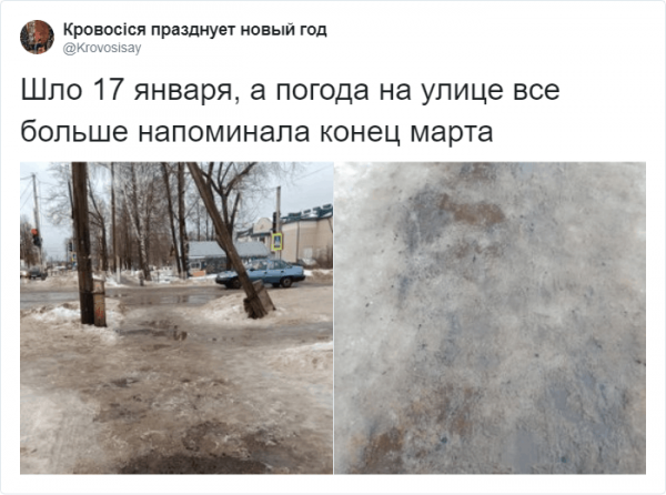 В соцетях активно обсуждают погоду про аномальную зиму (15 фото)