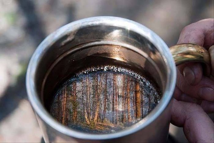 Фотографии, которые стоит увидеть всем (40 фото) Фотографии, которые стоит увидеть всем (40 фото)