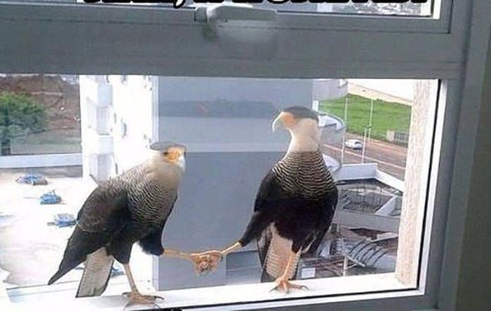 Фотографии, которые стоит увидеть всем (40 фото) Фотографии, которые стоит увидеть всем (40 фото)