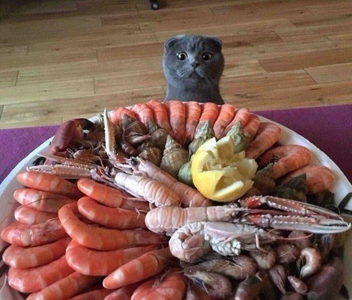 Фотографии, которые стоит увидеть всем (40 фото) Фотографии, которые стоит увидеть всем (40 фото)