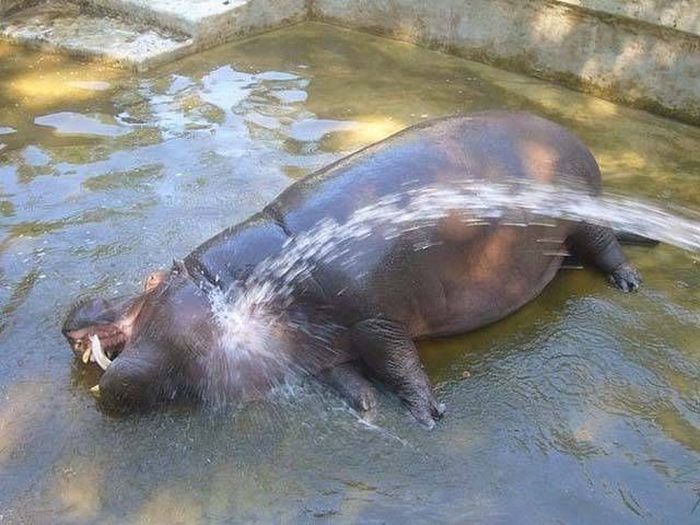 Фотографии, которые стоит увидеть всем (40 фото) Фотографии, которые стоит увидеть всем (40 фото)
