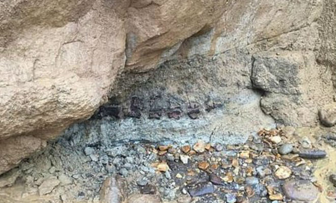 В скале нашли окаменелого динозавра (5 фото)