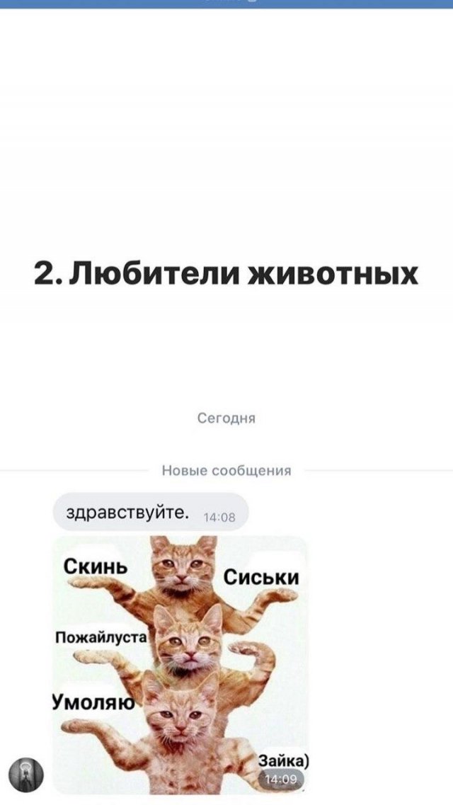 Как заинтересовать девушку в социальных сетях (11 фото)