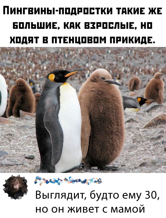 Подборка прикольных фото (66 фото)