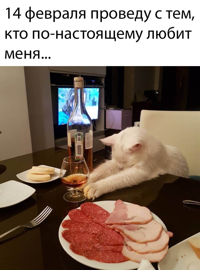 Подборка прикольных фото №2306 (66 фото)