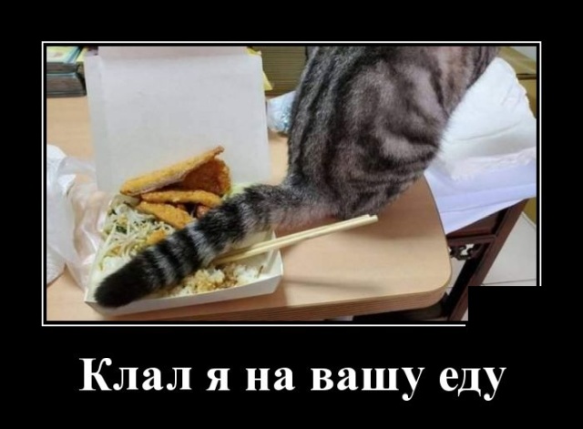 Демотиваторы (20 фото)