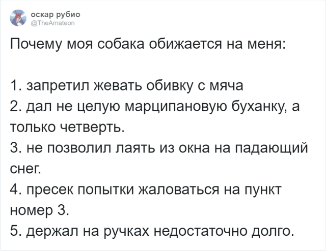 "За что на меня обиделась собака?": забавный флешмоб (12 скриншотов)