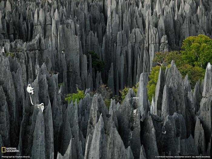 Поразительные виды Земли (20 фото)