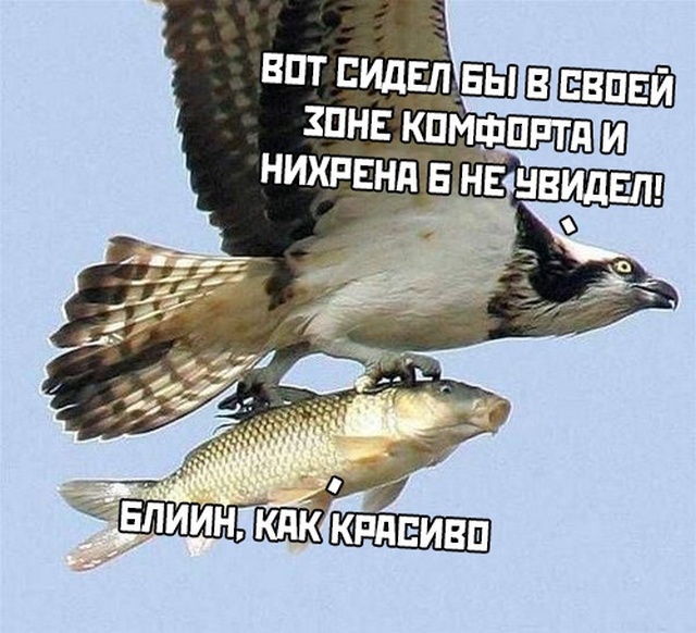Подборка прикольных фото (61 фото)