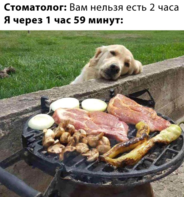 Подборка прикольных фото №2312 (61 фото)