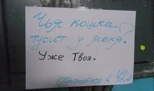 Смешные объявления о пропавших животных (13 фото)