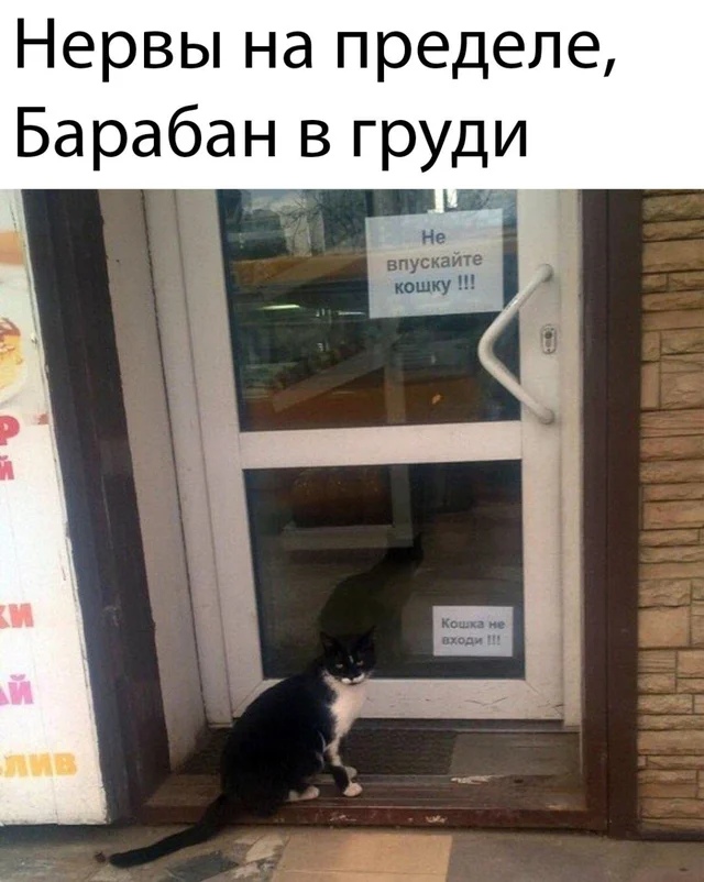 Подборка прикольных фото №2316 (63 фото)