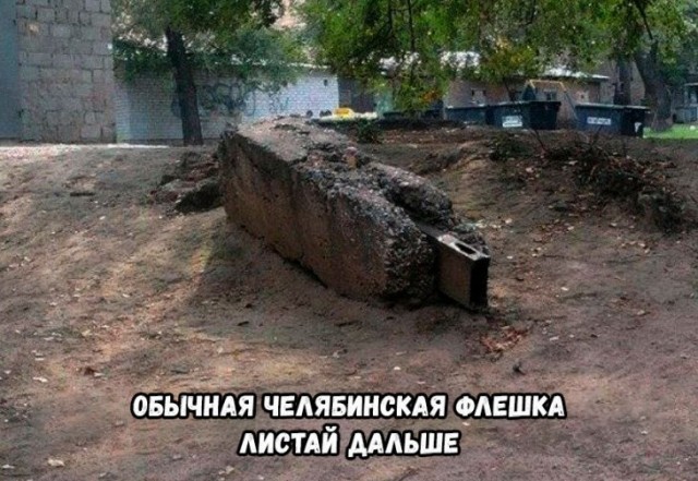 Подборка прикольных фото (60 фото)