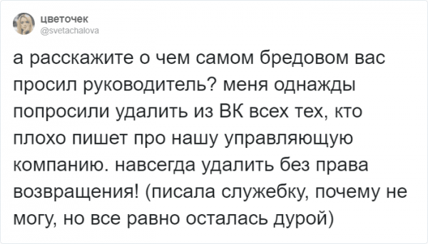 Тред в Твиттере: самые странные указания от начальства (14 фото)