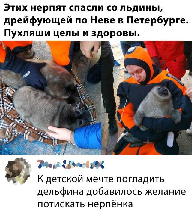 Подборка прикольных фото №2325 (60 фото)