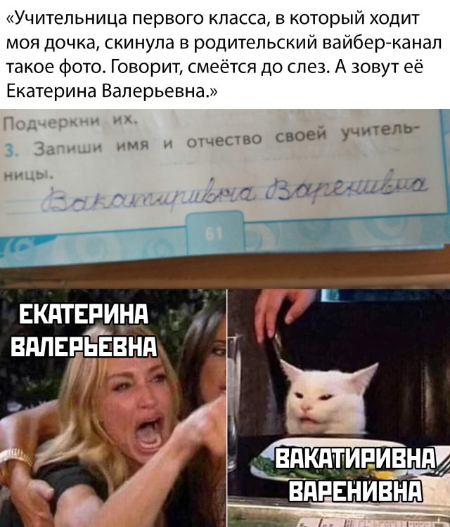 Подборка прикольных фото №2326 (61 фото)