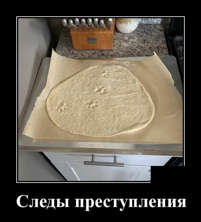 Демотиваторы №2330 (20 фото)