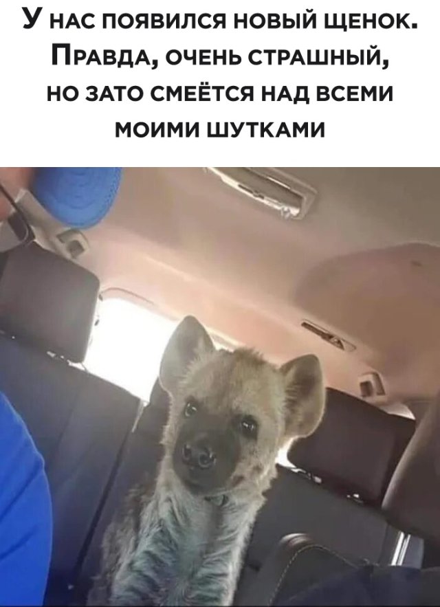 Подборка прикольных фото №2331 (69 фото)