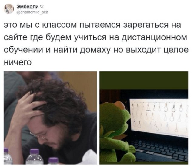 Шутки про дистанционное обучение (15 фото)