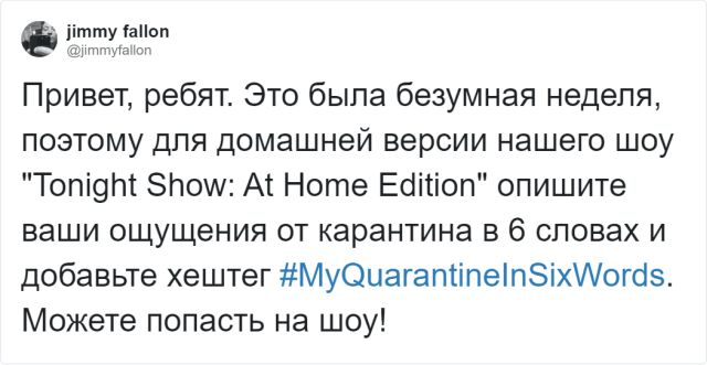 Новый тред в Твиттере: "Мой карантин в шести словах" (14 фото)