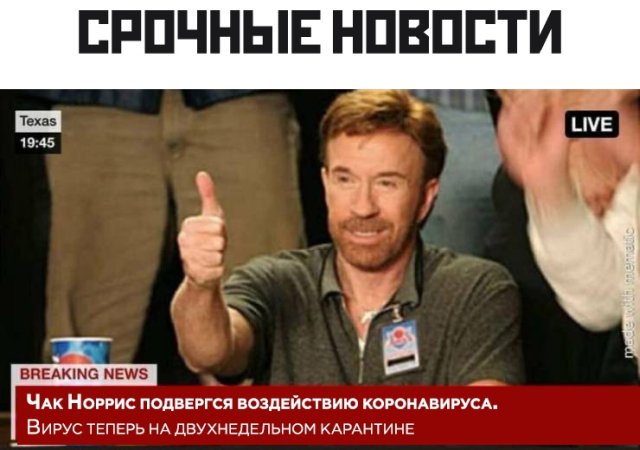 Подборка прикольных фото (66 фото)