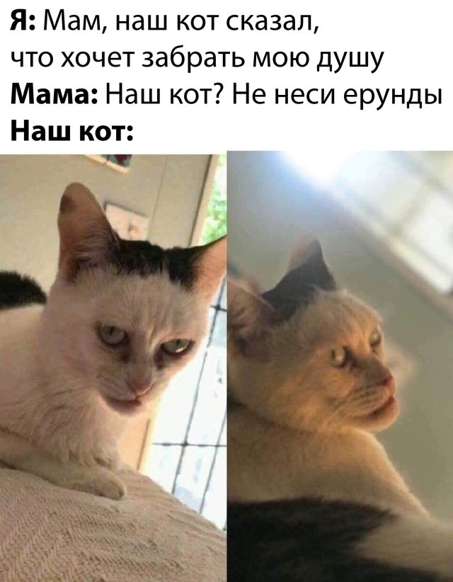 Подборка прикольных фото (68 фото)