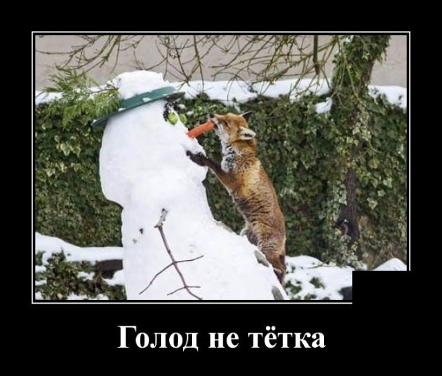Демотиваторы (20 фото)