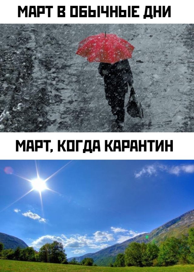Подборка прикольных фото №2335 (72 фото)