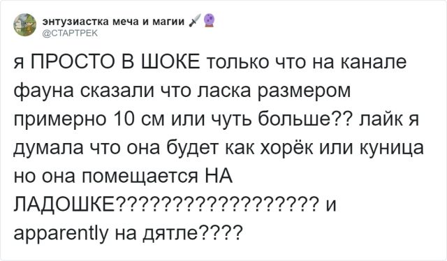 Зоологический тред в Твиттере: пользователи поразились (10 фото)