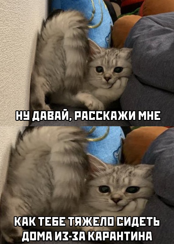 Подборка прикольных фото (67 фото)