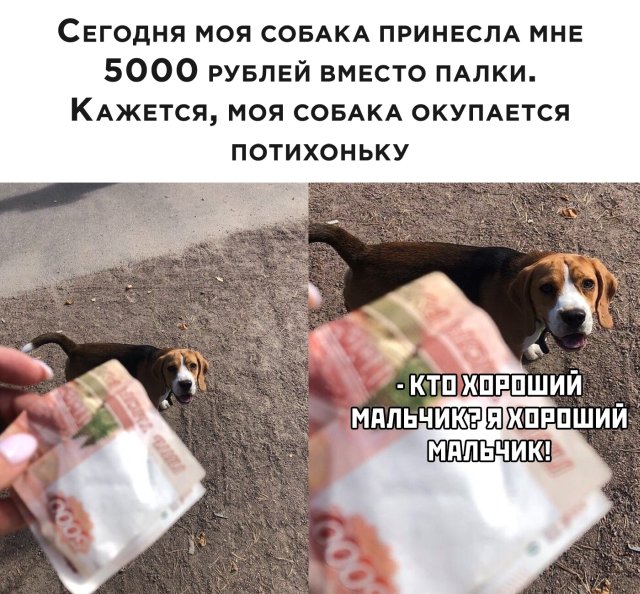 Подборка прикольных фото №2337 (69 фото)