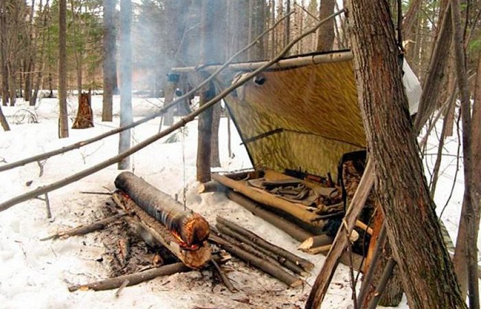Простой способ сделать костер из одного бревна (5 фото)