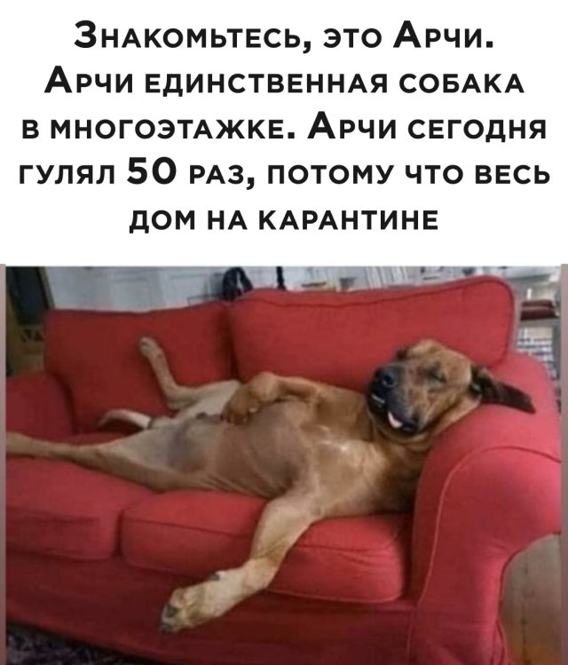 Подборка прикольных фото (63 фото)