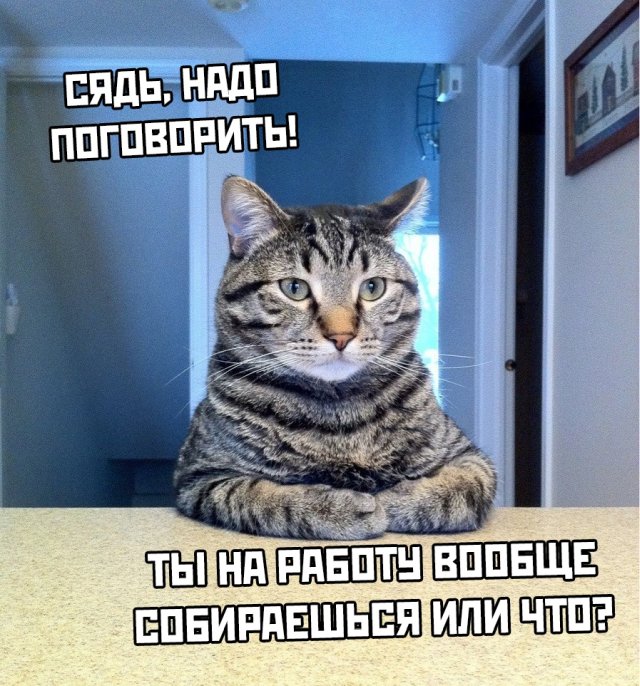 Подборка прикольных фото (69 фото)