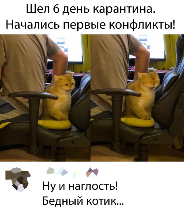 Подборка прикольных фото (68 фото)
