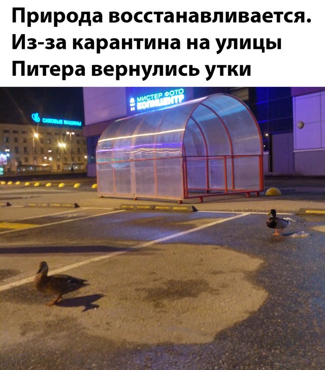 Подборка прикольных фото (68 фото)