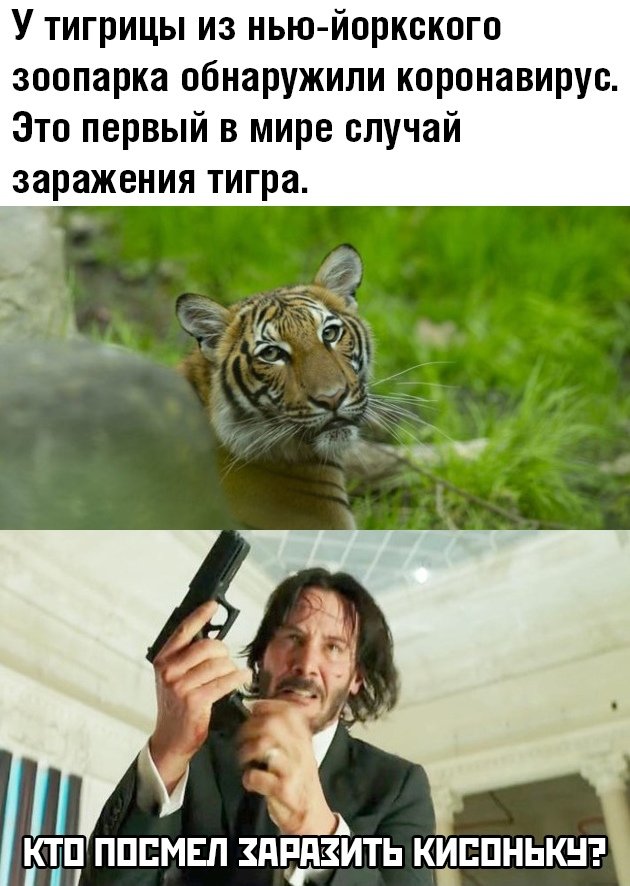 Подборка прикольных фото (69 фото)