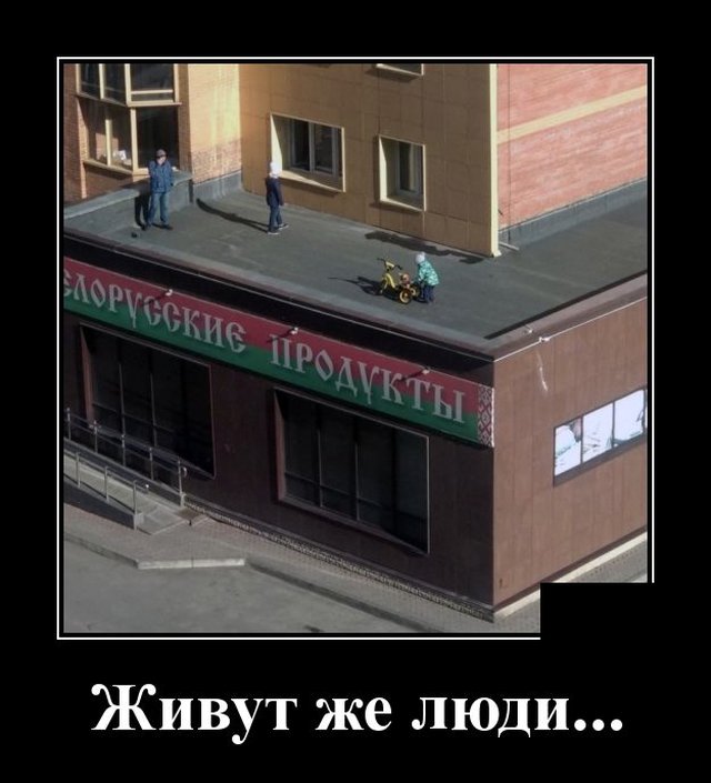 Демотиваторы №2343 (20 фото)
