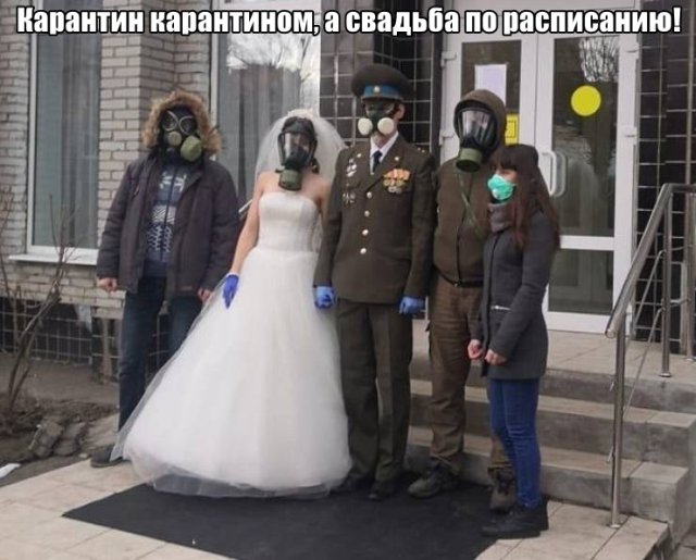 Подборка прикольных фото №2344 (66 фото)
