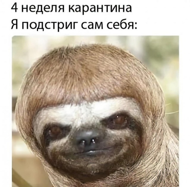 Подборка прикольных фото (67 фото)