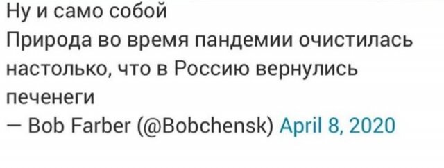 "Меня терзали печенеги и половцы -какие выплаты мне положены"(13 фото)