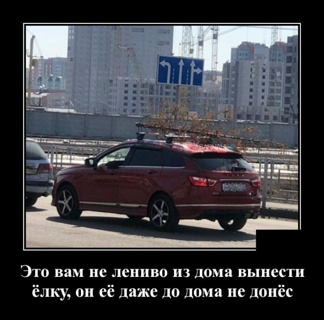 Демотиваторы №2347 (20 фото)