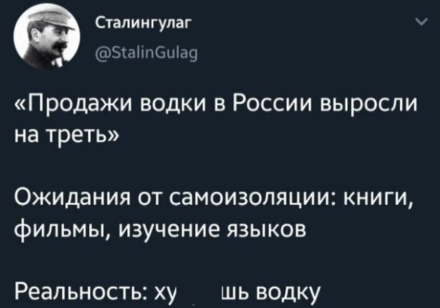 Россияне, до которых не дошел смысл слова "самоизоляция" (15 фото)