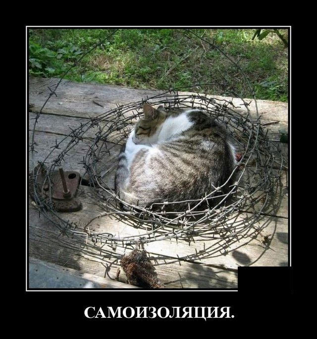 Демотиваторы (20 фото)